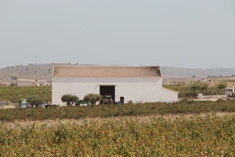Erhvervsejendom i Yecla, Murcia, Yecla - € 1.750.000 | Ref: Hotel  - foto 13
